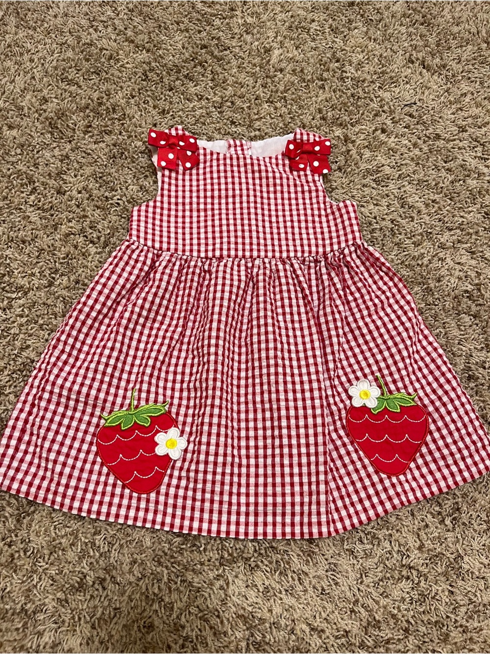 Red Gingham Strawberry Patch Girls' Casual Dress
